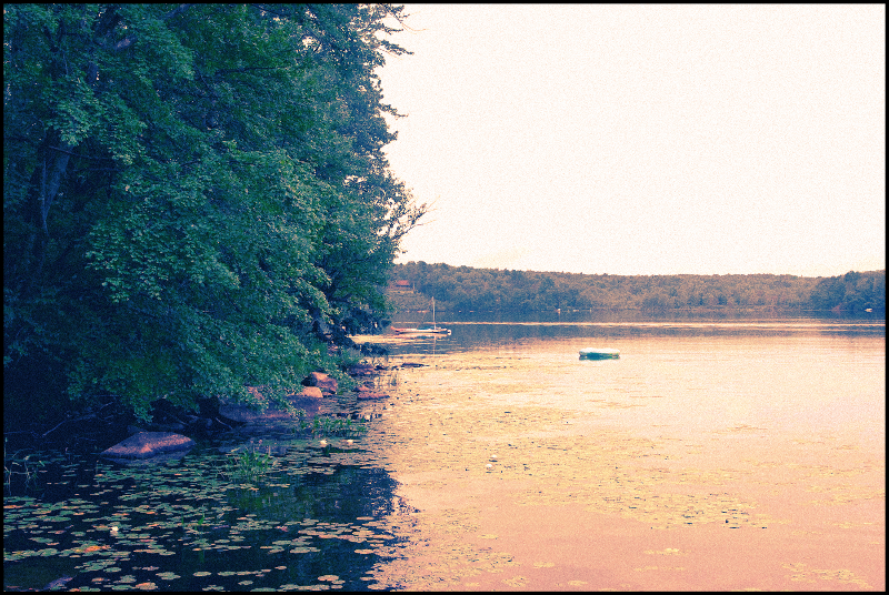 View from the dock